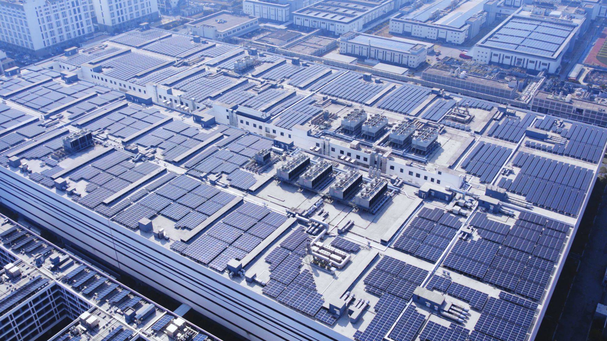 世界森林日｜今年会绿电自循环一年，相当于种下一片森林